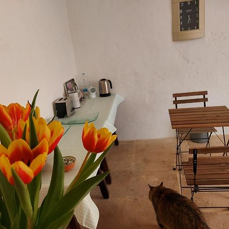 Razzett Warda B&B Għasri Eksteriør bilde