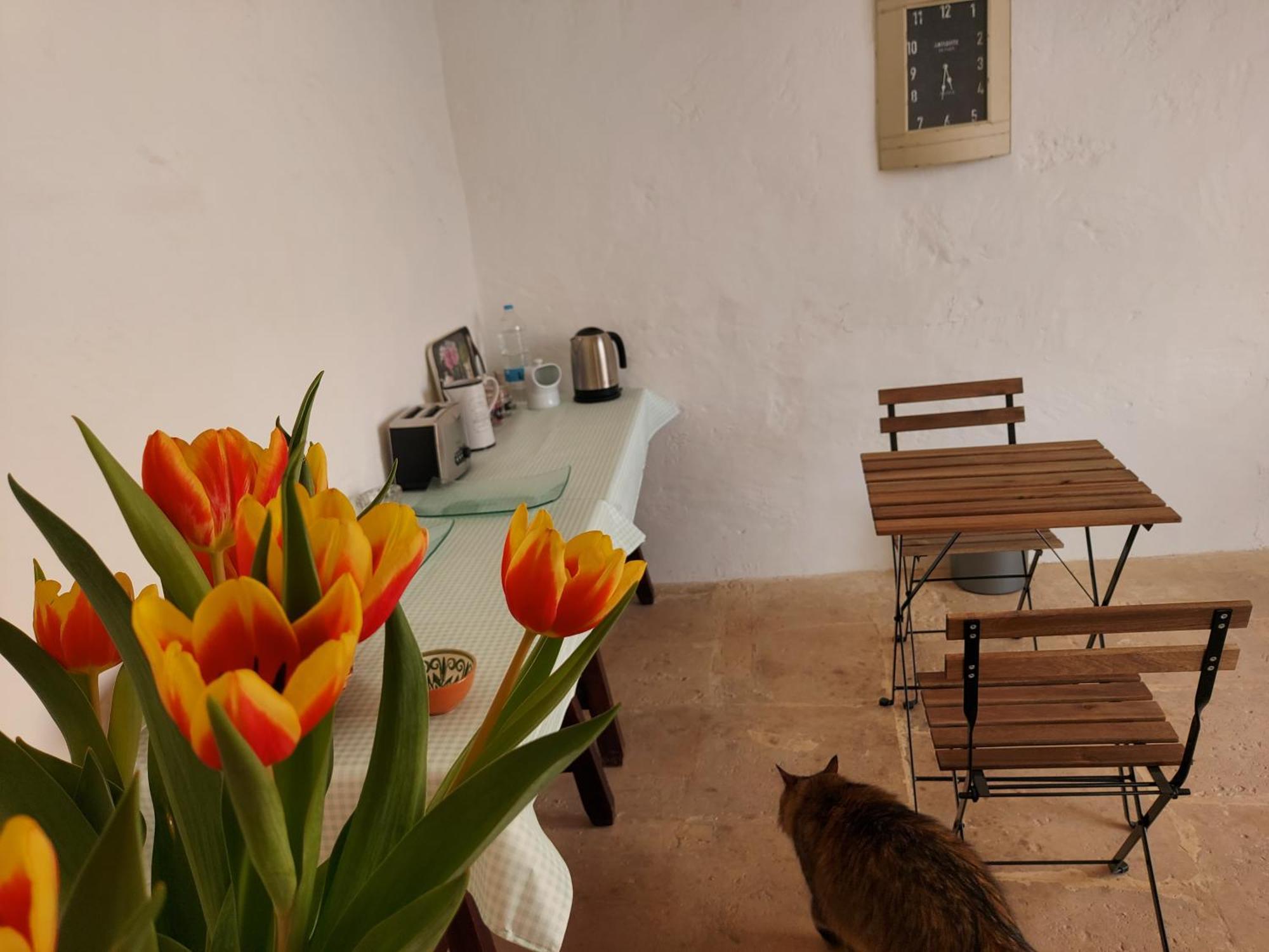 Razzett Warda B&B Għasri Eksteriør bilde